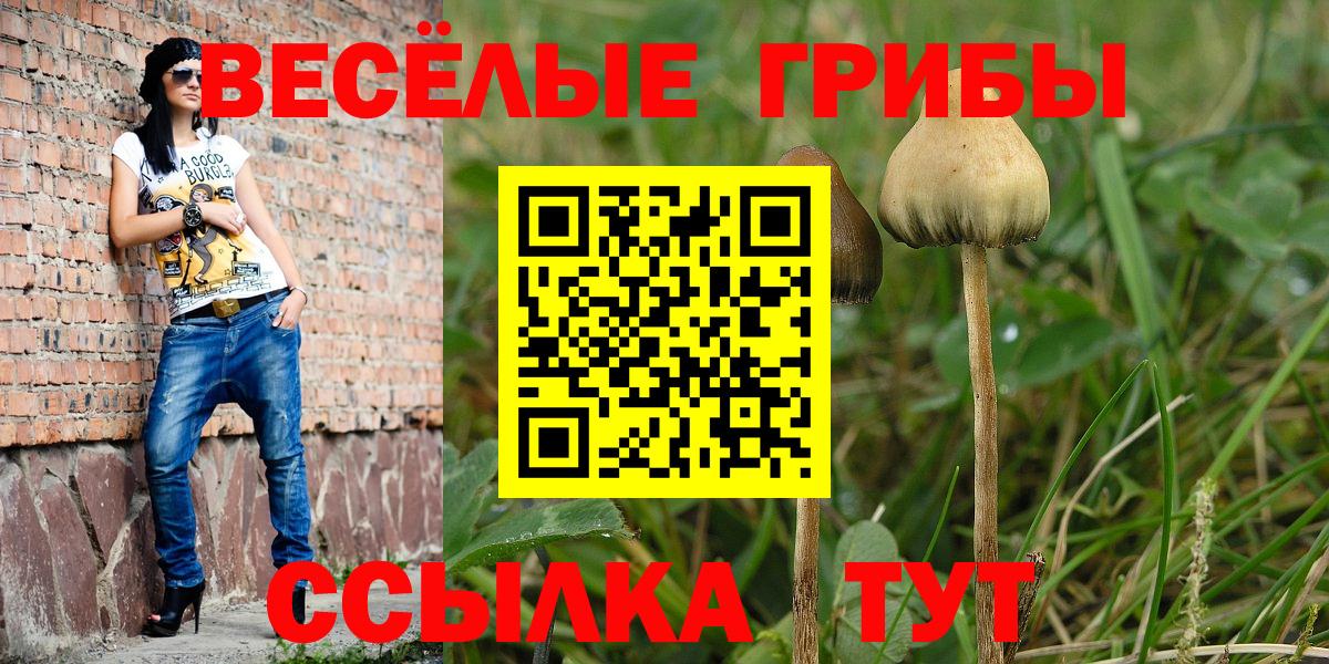 Псилоцибиновые грибы Psilocybine cubensis  Вход с VPN  Муравленко 